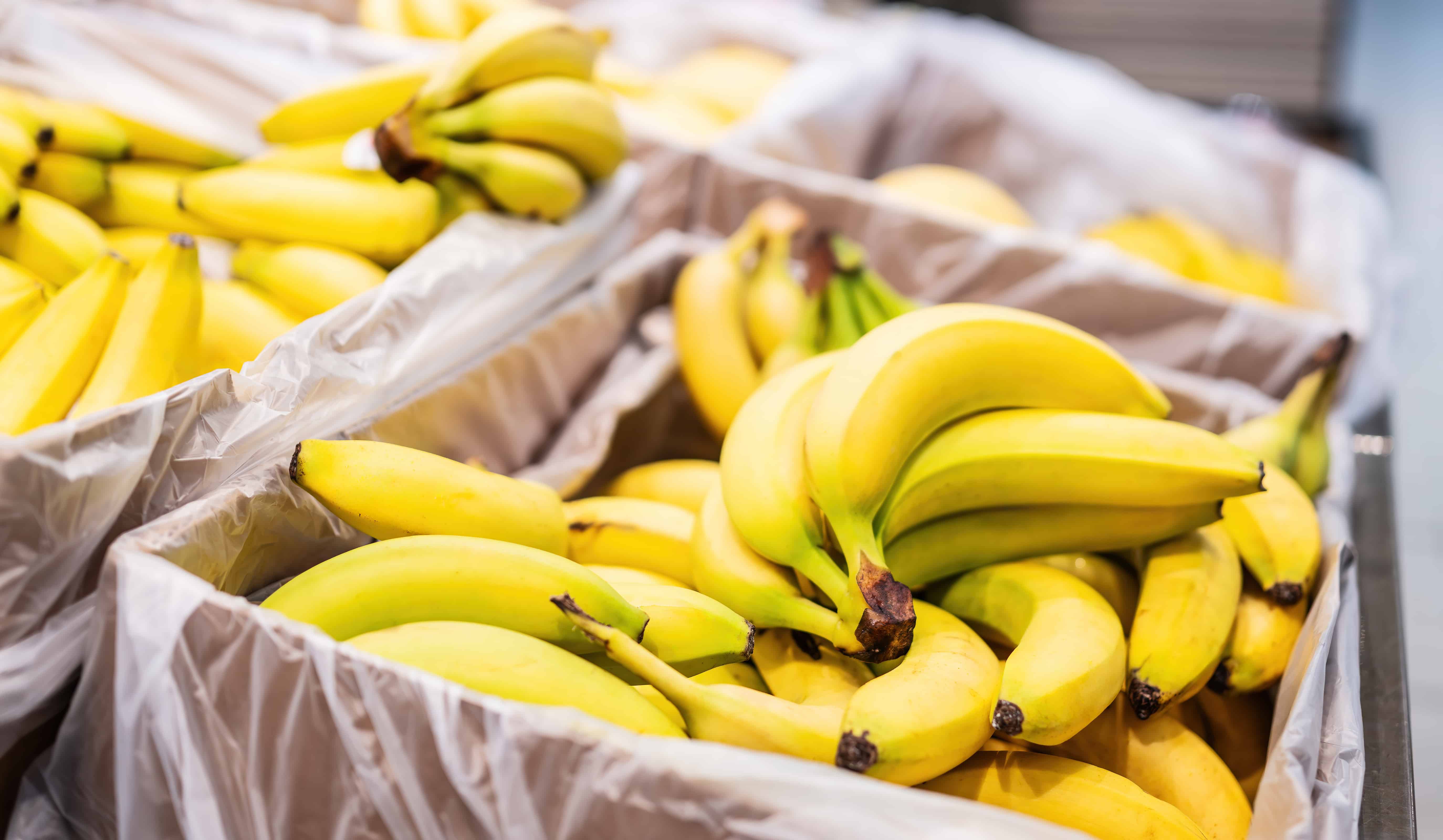 Image of Fruit Wholesale